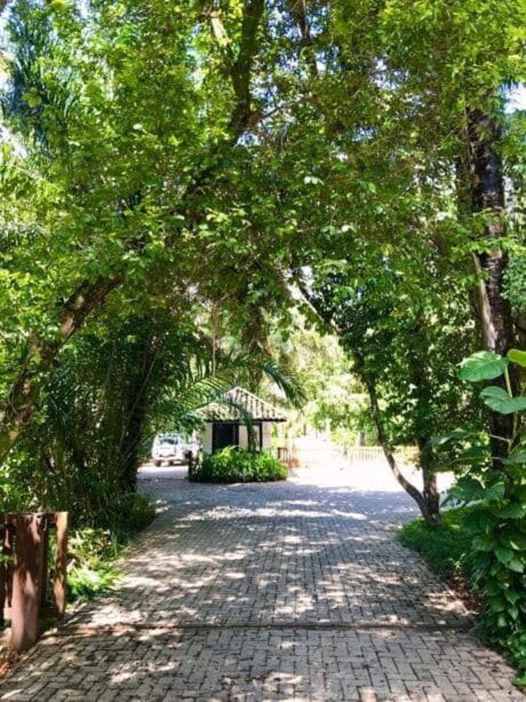 Terreno, 450 m² - Foto 12