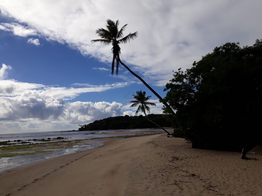 Terreno, 1800 m² - Foto 6