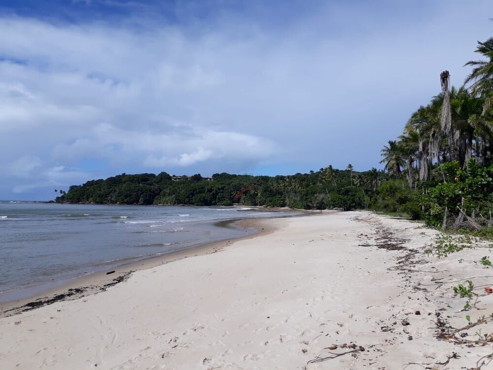 Terreno, 1800 m² - Foto 7