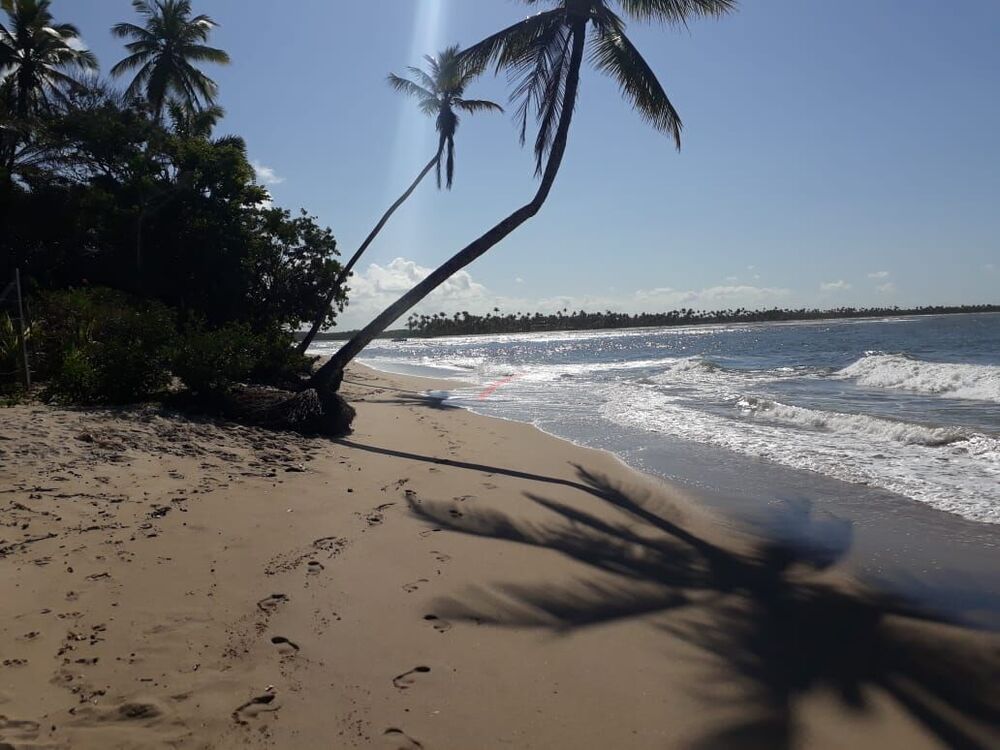 Terreno, 1800 m² - Foto 4