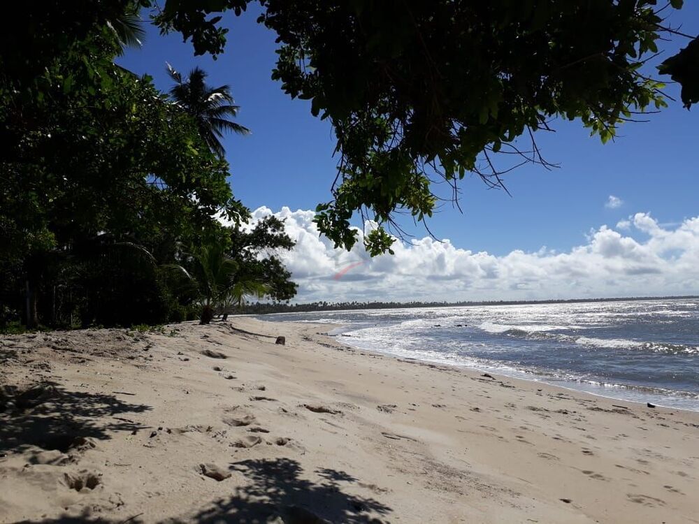 Terreno, 1800 m² - Foto 5