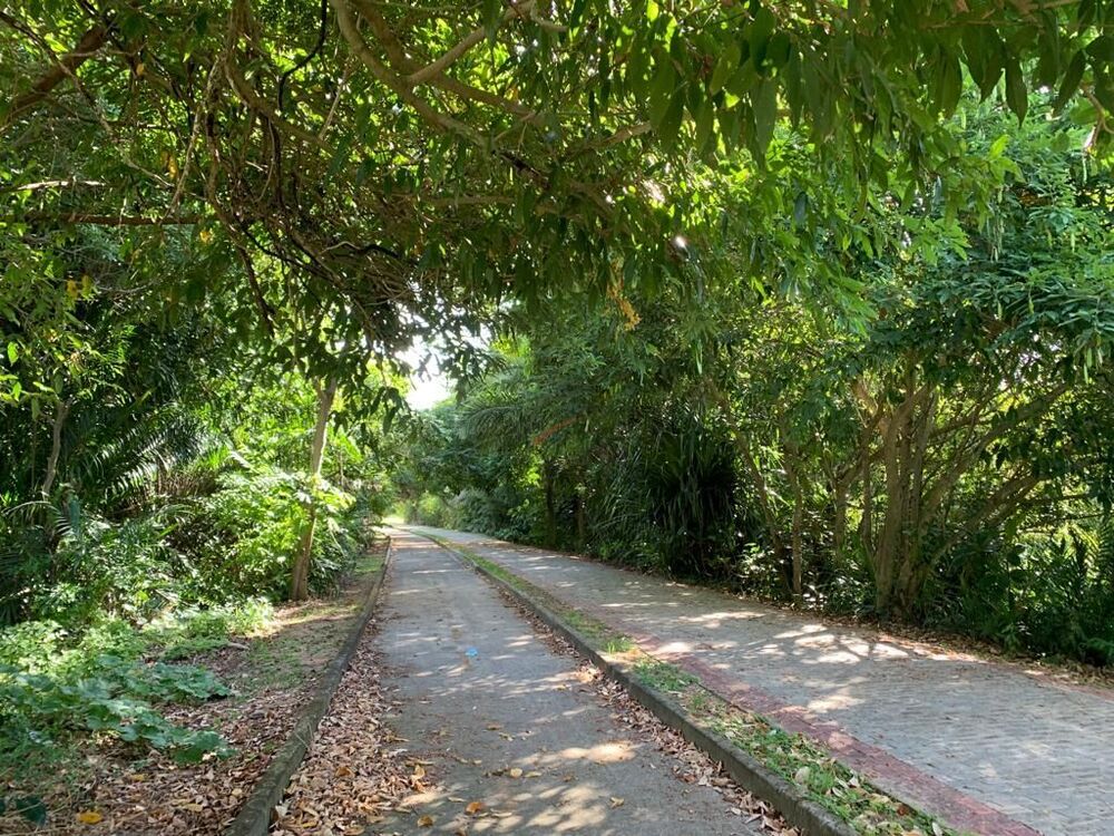 Apartamento, 2 quartos, 71 m² - Foto 24