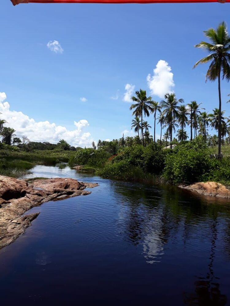 Apartamento, 2 quartos, 71 m² - Foto 23