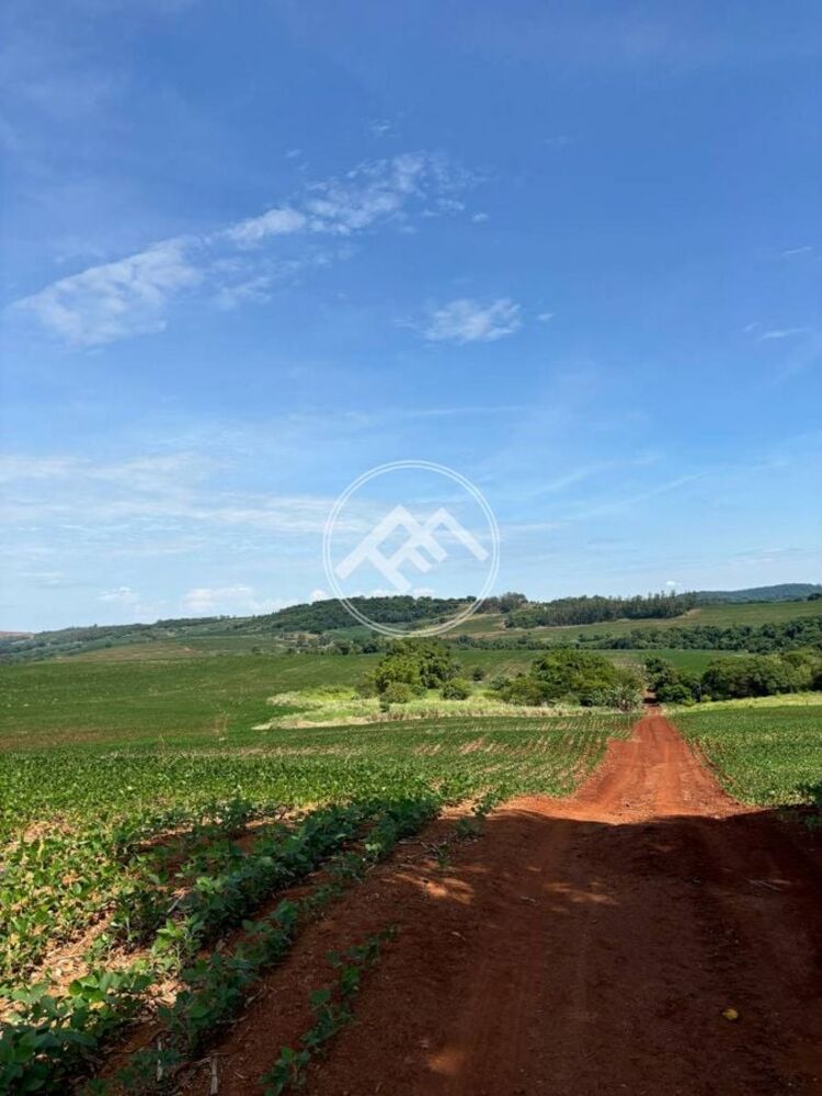 Fazenda à venda - Foto 4
