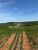 Fazenda - Foto 3