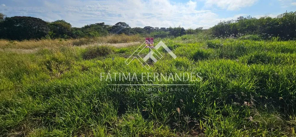 Terreno - Foto 6