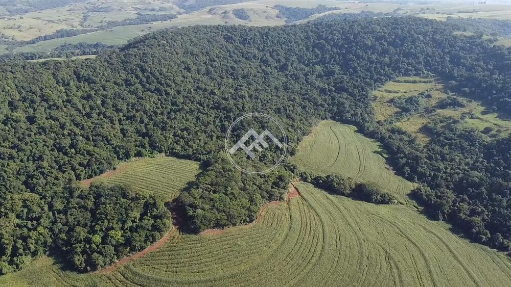 Sítio à venda - Foto 2