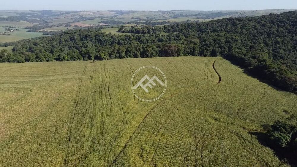 Sítio à venda - Foto 4