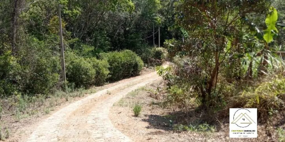 Sítio, 2 quartos, 8 hectares - Foto 4