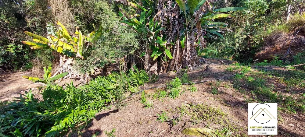 Chácara, 2 quartos, 1 hectares - Foto 7