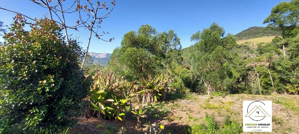Chácara, 2 quartos, 1 hectares - Foto 12