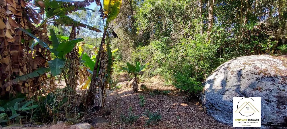 Chácara, 2 quartos, 1 hectares - Foto 8