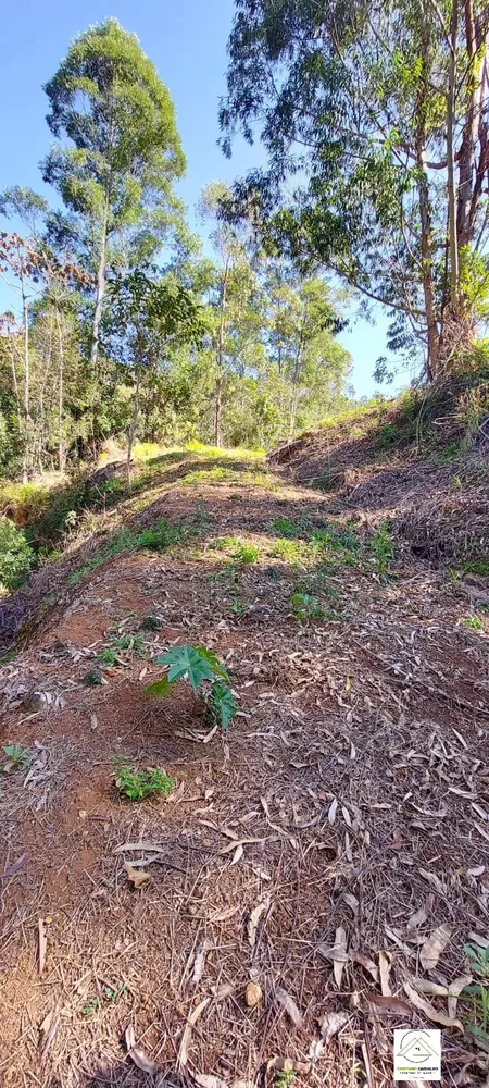 Chácara, 2 quartos, 1 hectares - Foto 6