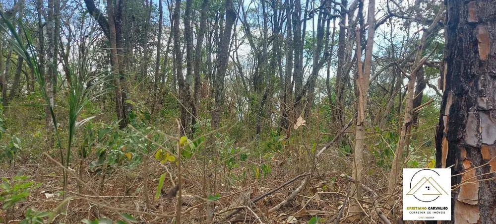 Terreno, 500 m² - Foto 3