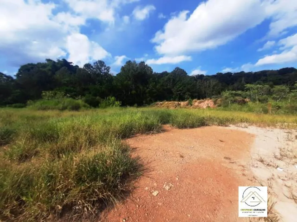 Terreno, 2 hectares - Foto 4