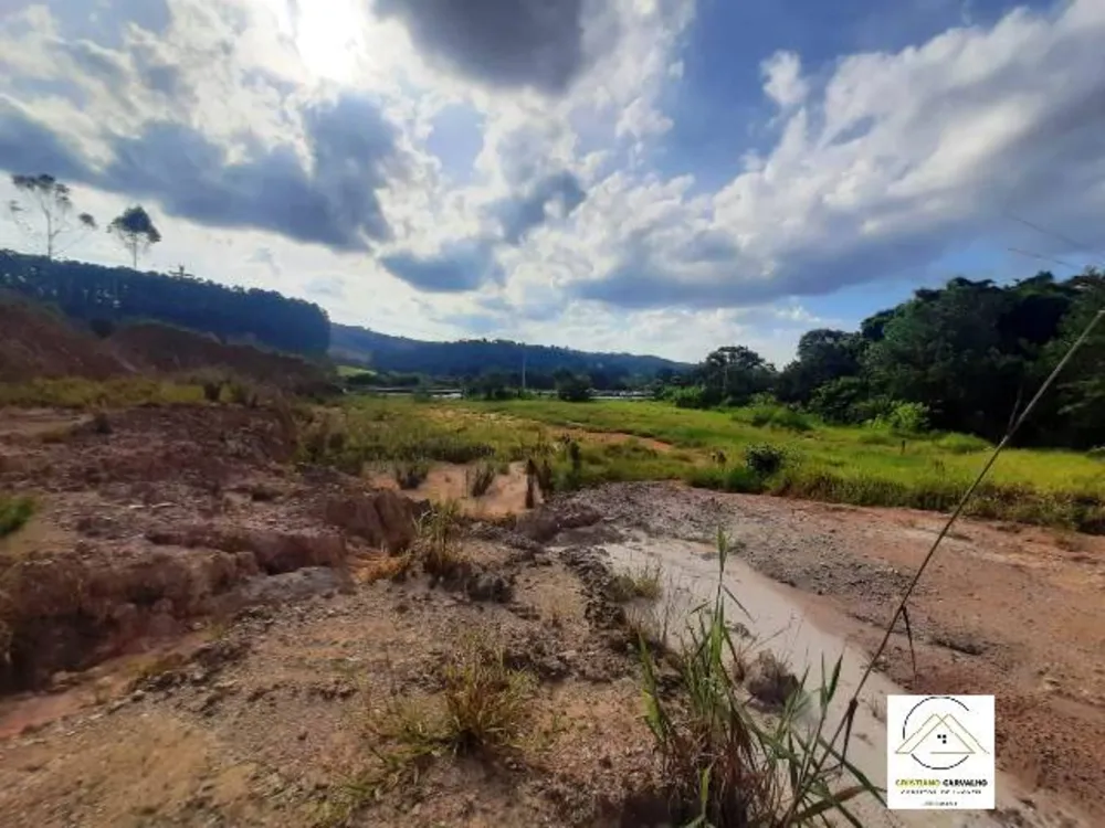 Terreno, 2 hectares - Foto 8