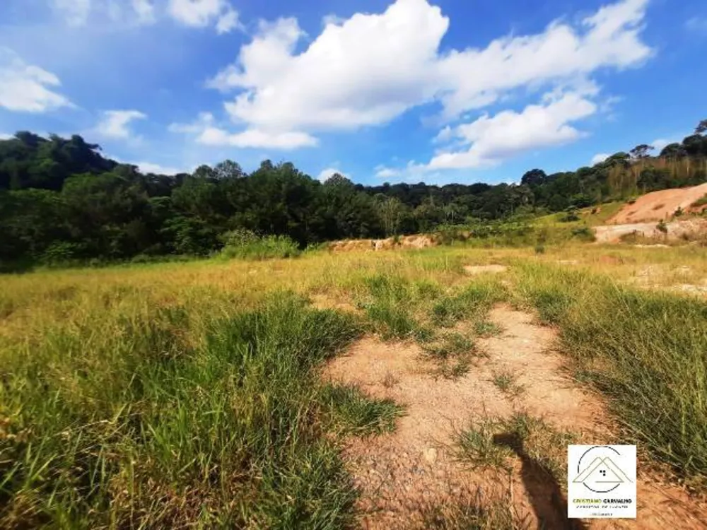 Terreno, 2 hectares - Foto 3