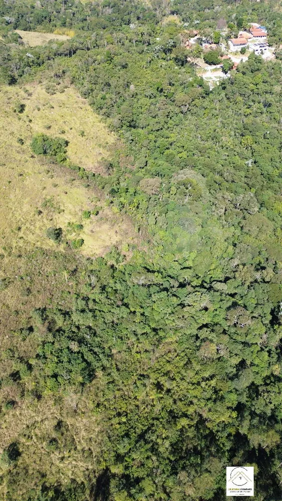 Terreno, 12 hectares - Foto 7