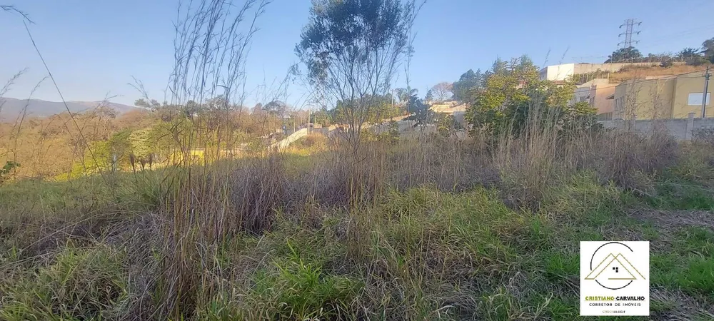 Terreno, 2052 m² - Foto 6