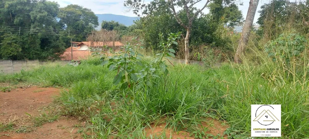 Terreno, 1000 m² - Foto 4