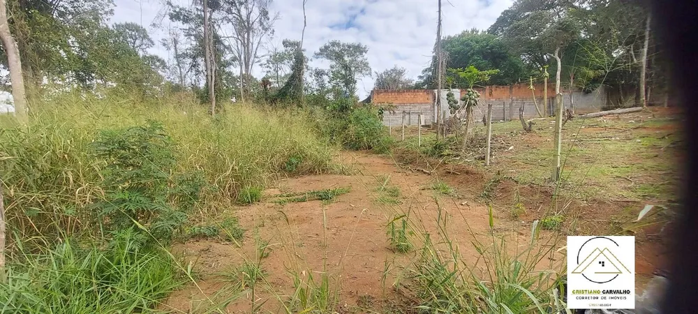 Terreno, 1000 m² - Foto 4