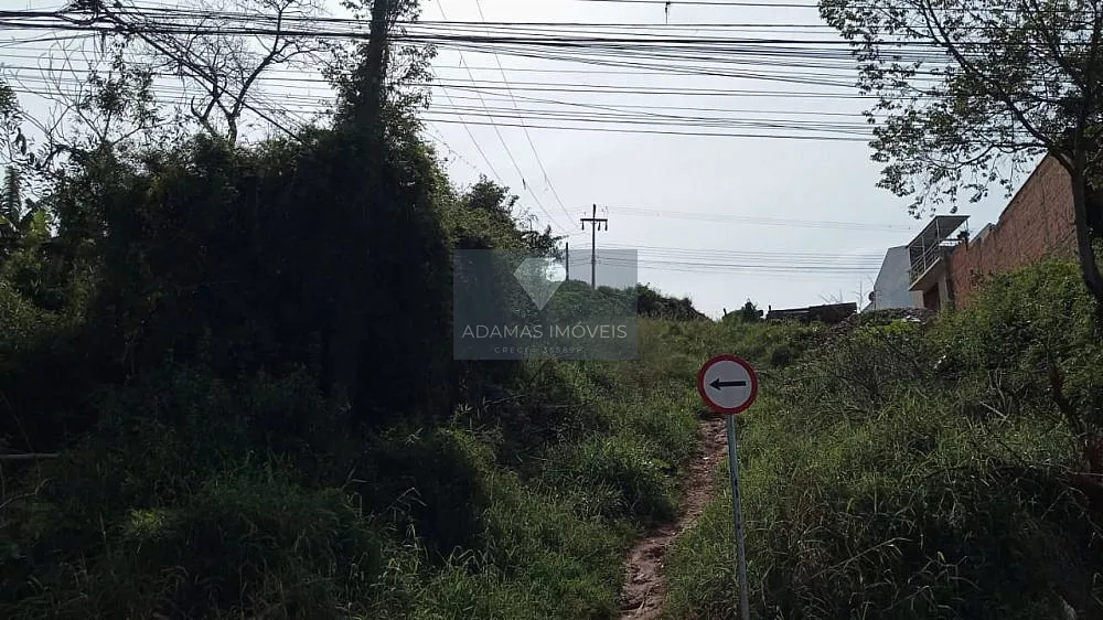 Terreno, 1750 m² - Foto 4