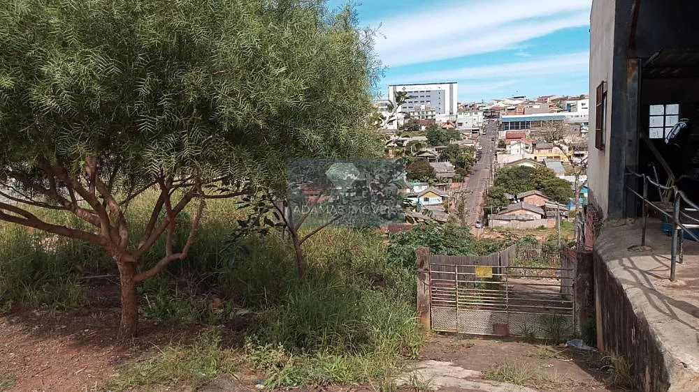 Terreno, 1750 m² - Foto 3