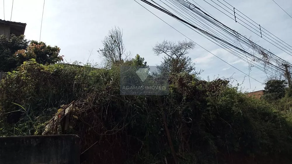 Terreno, 1750 m² - Foto 1