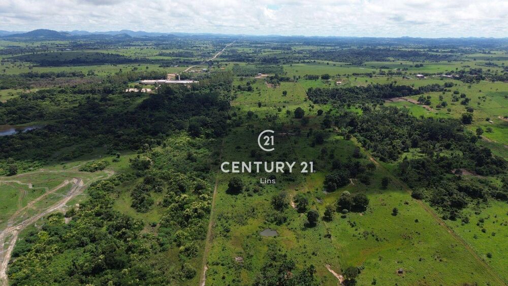 Terreno, 5 hectares - Foto 4