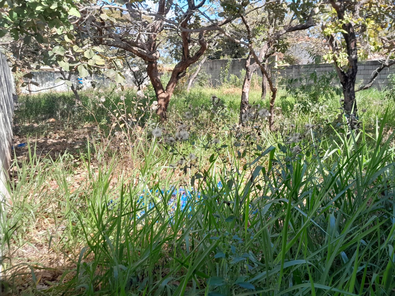 Loteamento e Condomínio à venda, 600m² - Foto 23