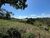Sítio, 2 hectares - Foto 2