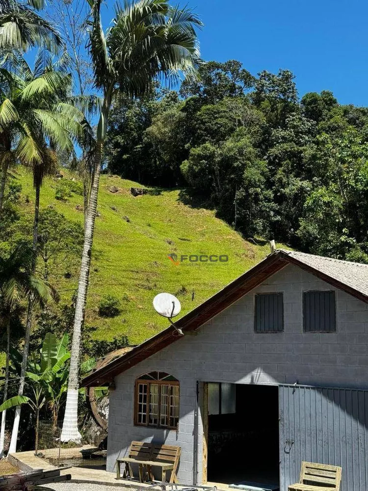 Sítio à venda com 3 quartos, 2000M2 - Foto 2