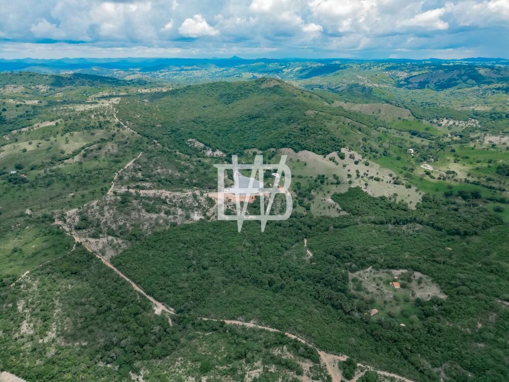 Fazenda à venda com 5 quartos, 968000m² - Foto 6