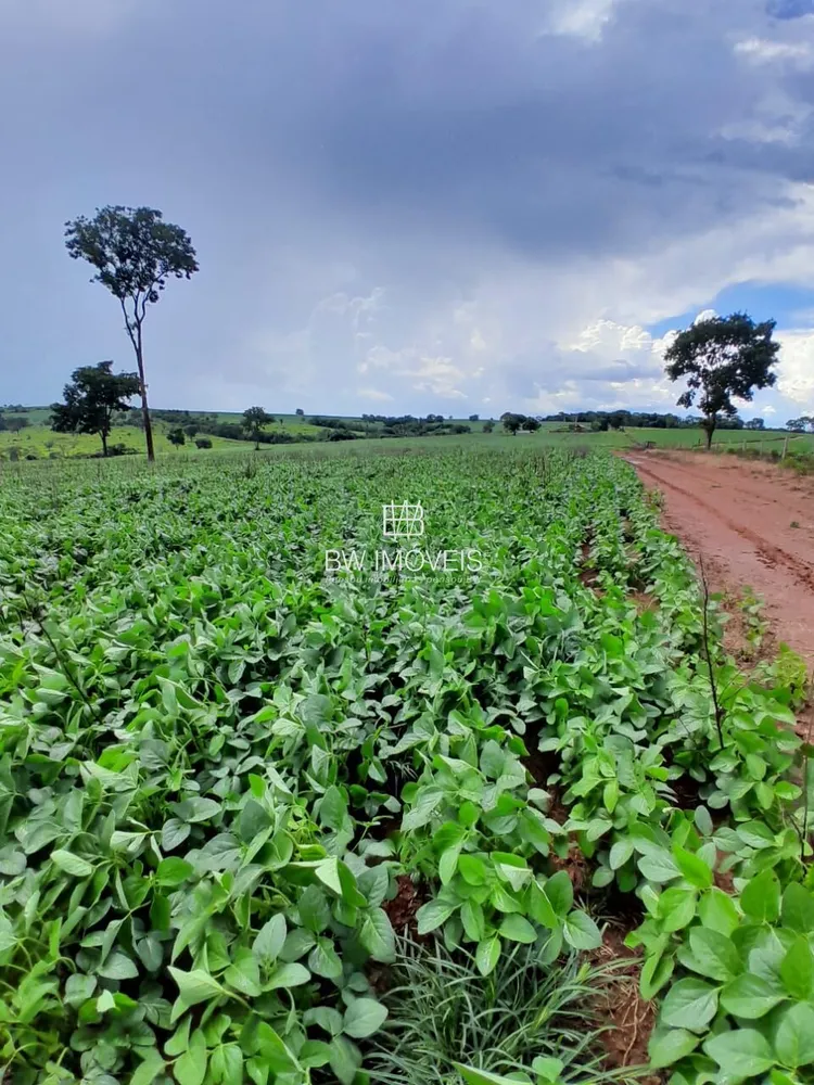 Fazenda, 87 hectares - Foto 8