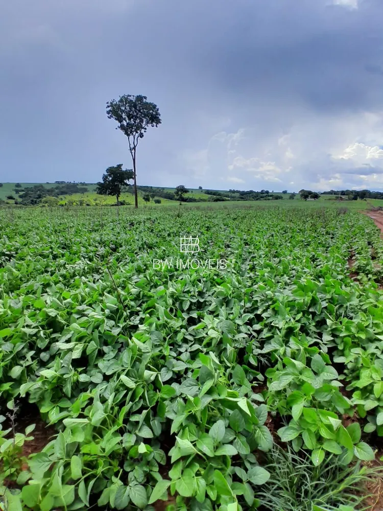 Fazenda, 87 hectares - Foto 9