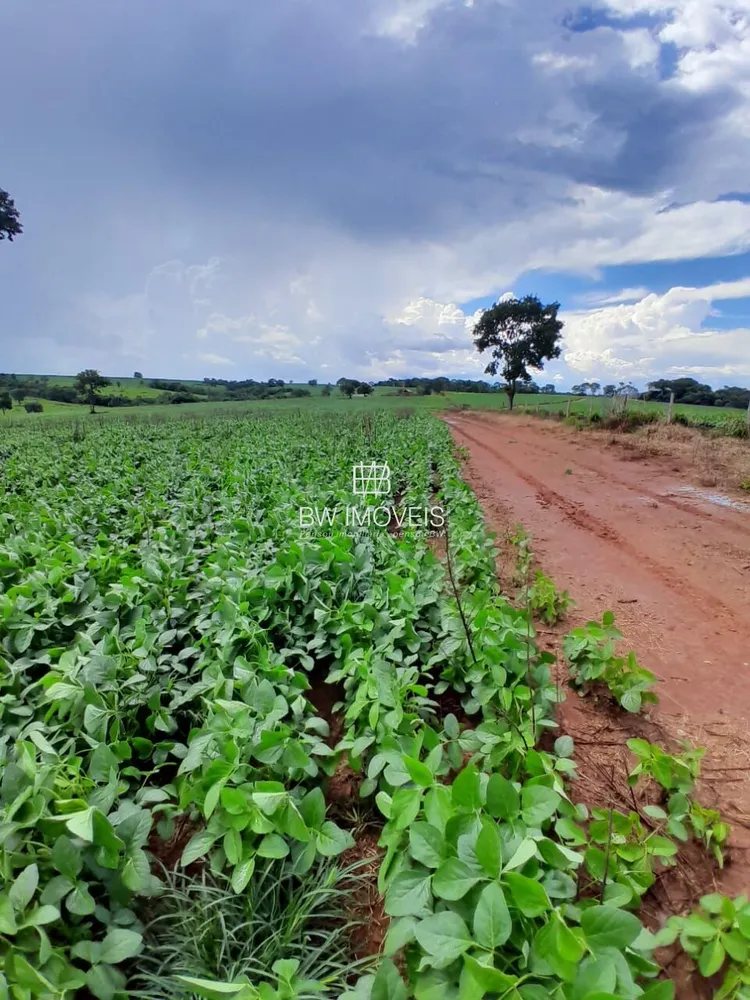 Fazenda, 87 hectares - Foto 7