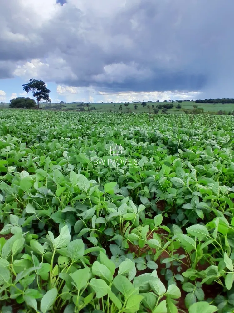 Fazenda, 87 hectares - Foto 6