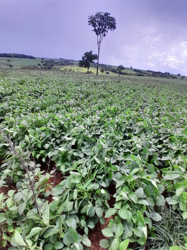 Fazenda, 87 hectares - Foto 11