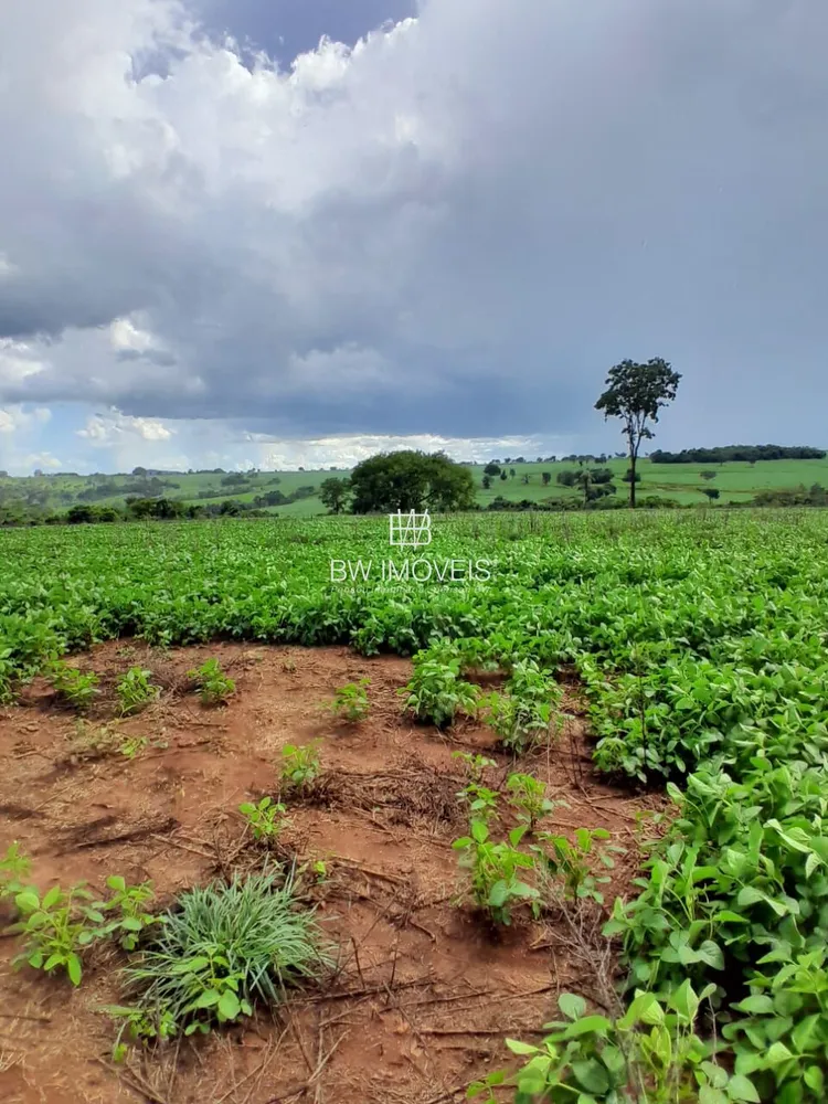 Fazenda, 87 hectares - Foto 10