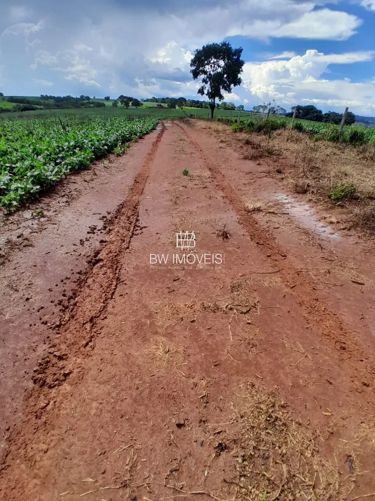 Fazenda, 87 hectares - Foto 13