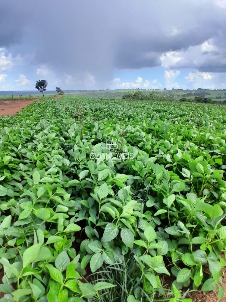 Fazenda, 87 hectares - Foto 12