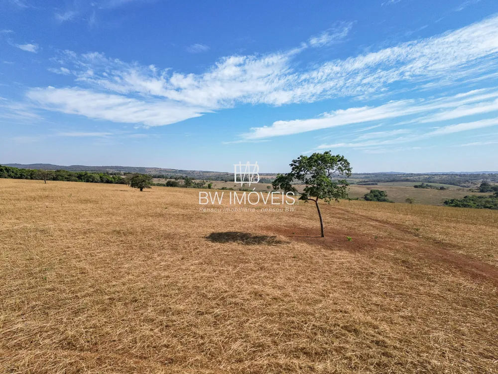 Fazenda, 87 hectares - Foto 5
