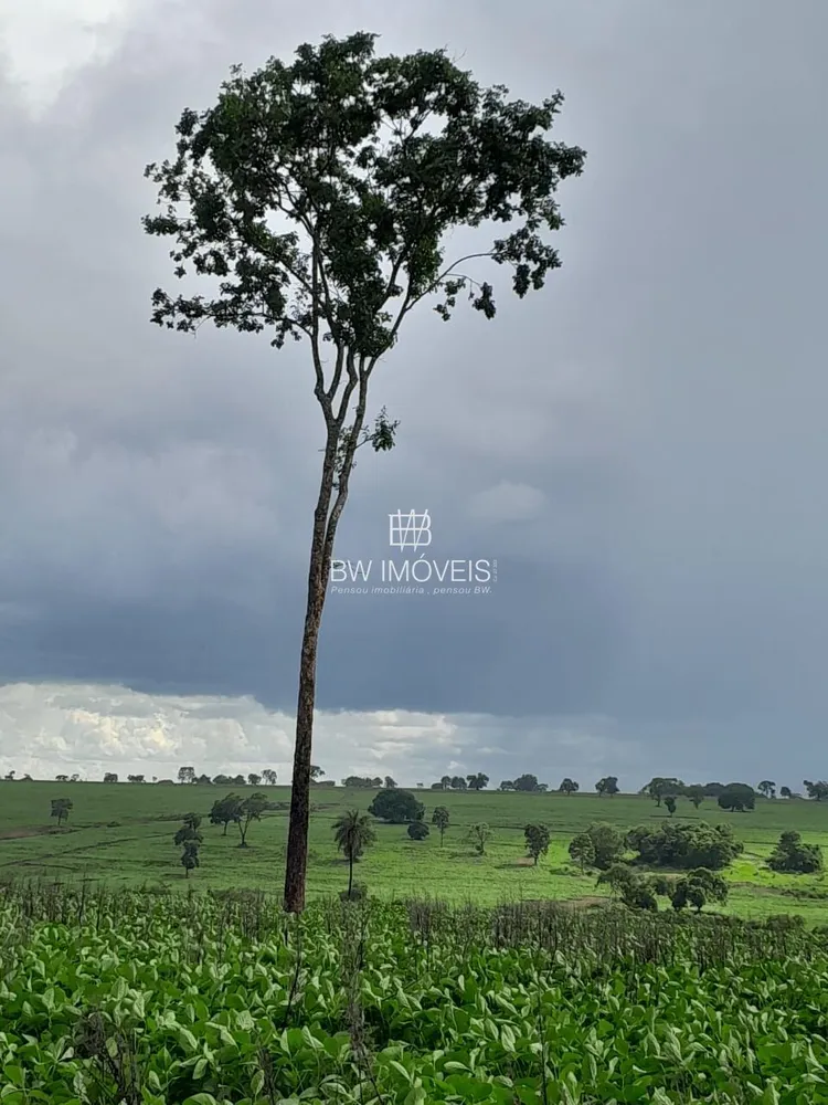 Fazenda, 87 hectares - Foto 14