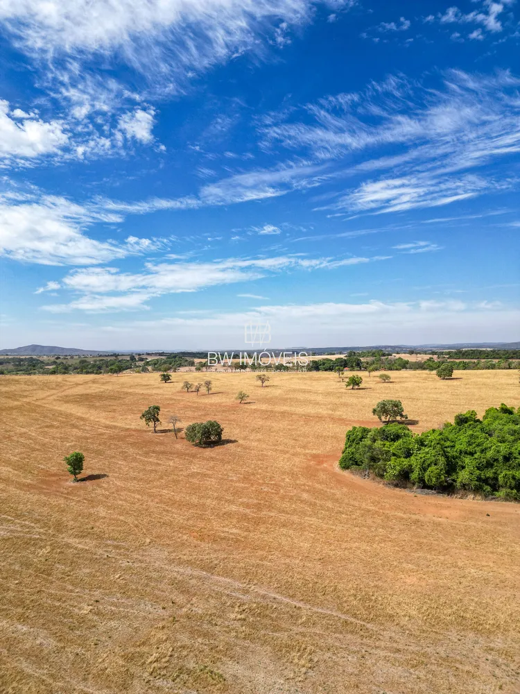 Fazenda, 87 hectares - Foto 4