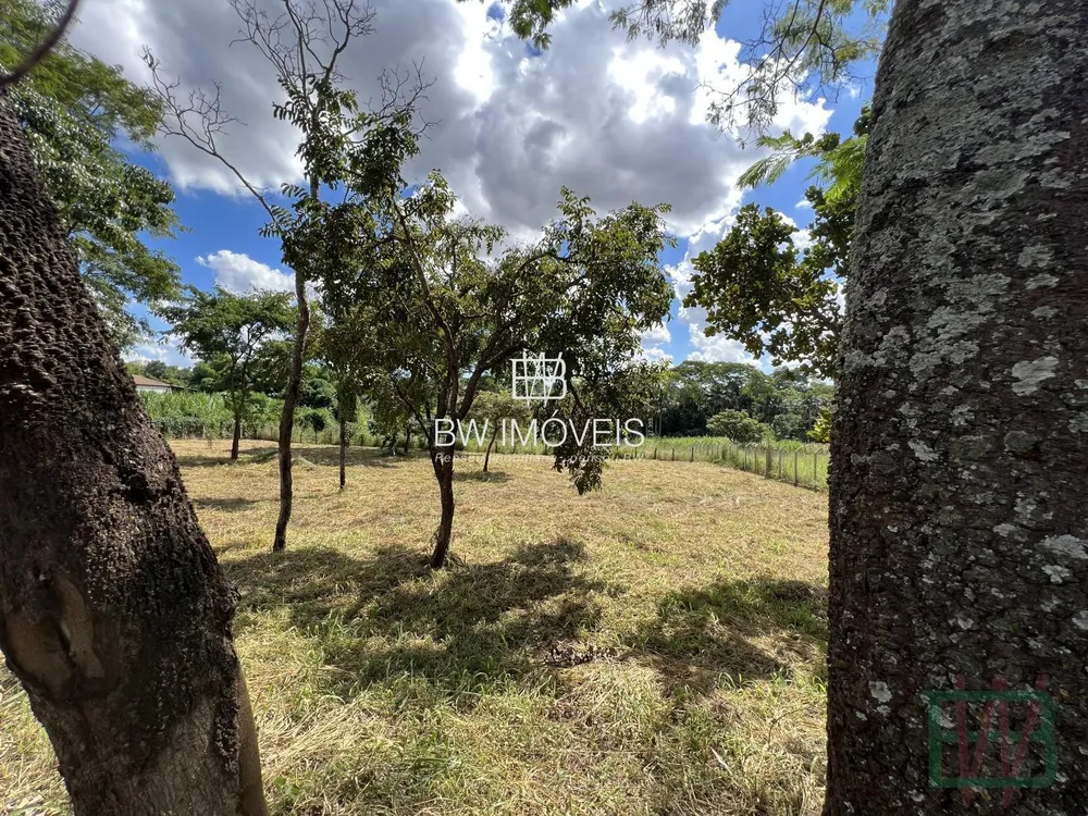 Terreno, 6000 m² - Foto 8