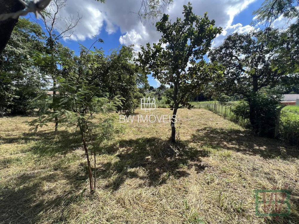 Terreno, 6000 m² - Foto 9