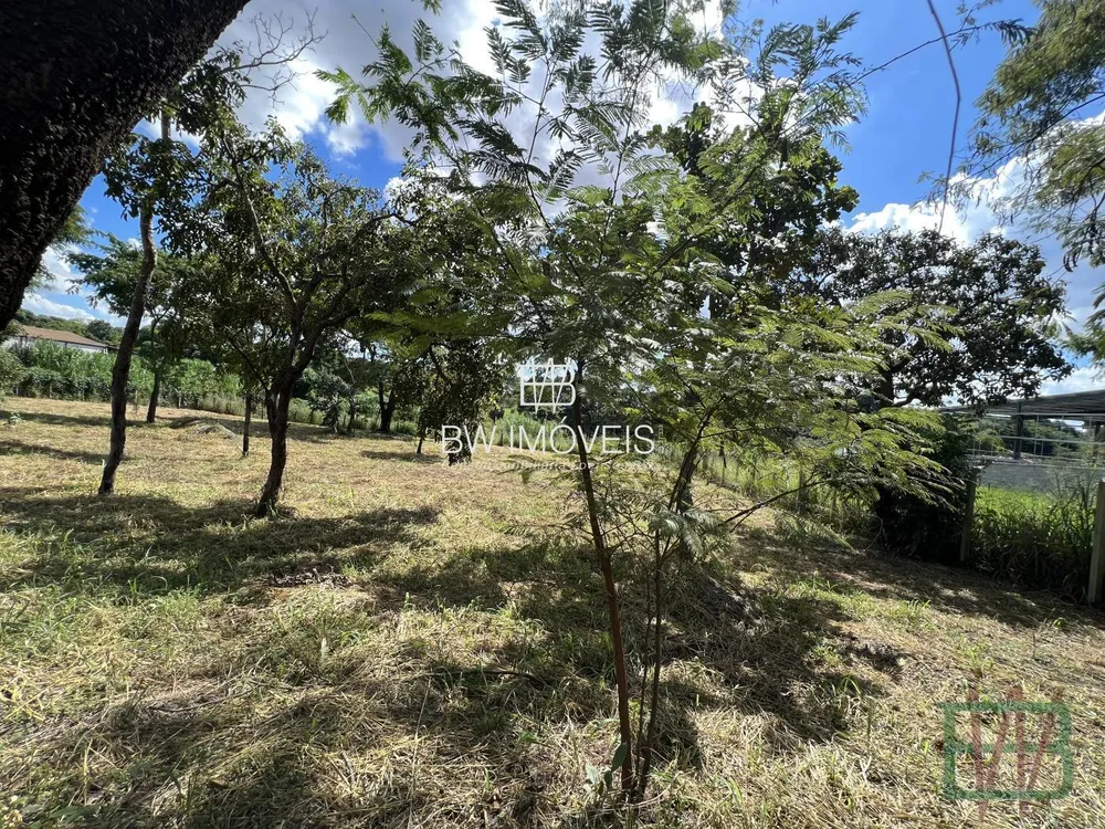 Terreno, 3000 m² - Foto 7