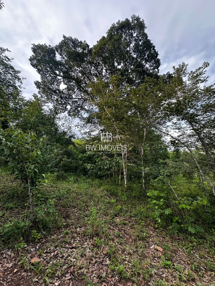 Fazenda, 116 hectares - Foto 7
