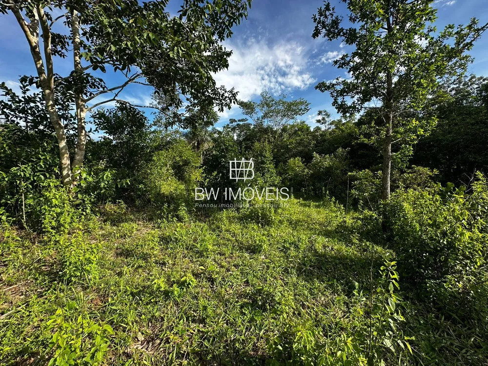 Fazenda, 116 hectares - Foto 2