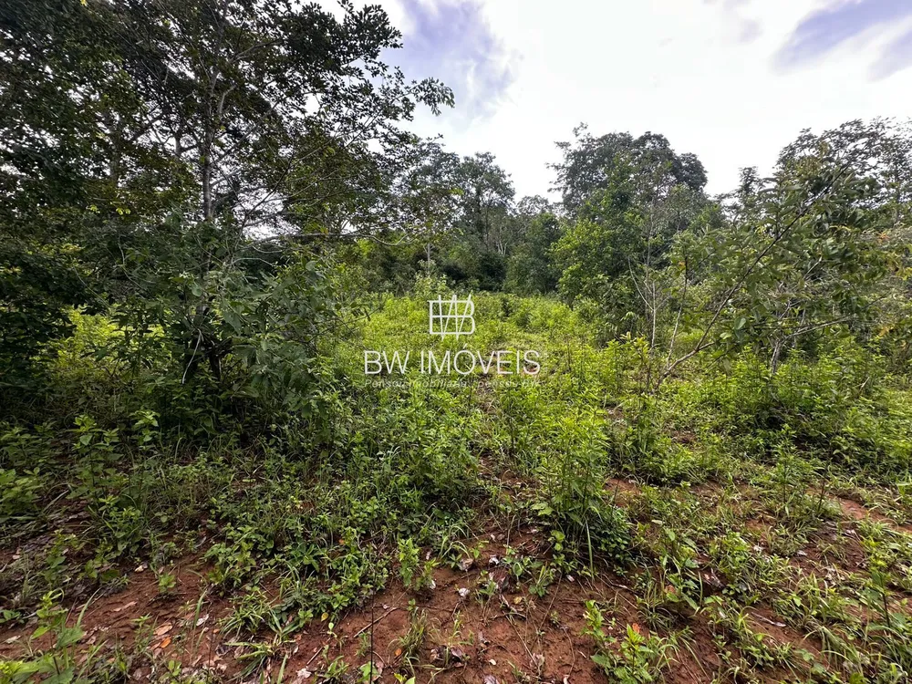 Fazenda, 116 hectares - Foto 4